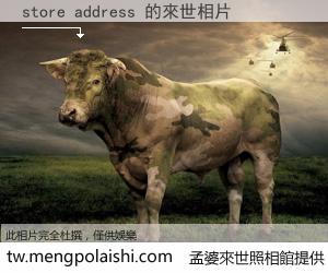 store address 來世的未來相片