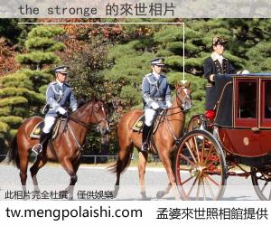 the stronge 來世的未來相片
