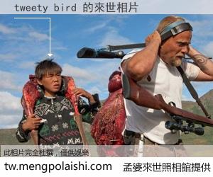tweety bird 來世的未來相片