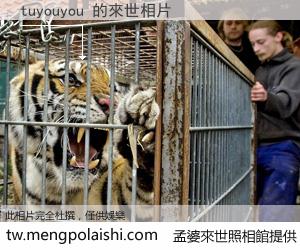 tuyouyou 來世的未來相片