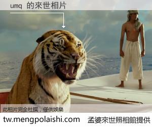 umq 來世的未來相片