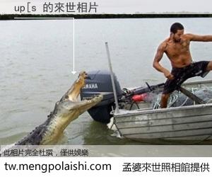 up[s 來世的未來相片