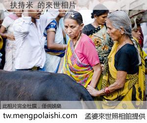 扶持米 來世的未來相片