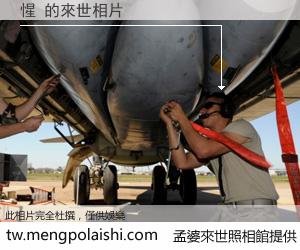 惺 來世的未來相片