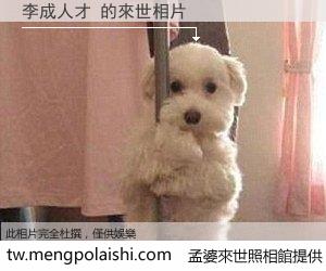 李成人才 來世的未來相片