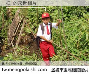 杠 來世的未來相片