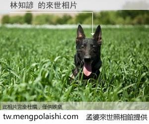 林知諺 來世的未來相片