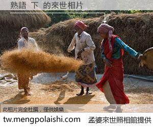 熟語 下 來世的未來相片