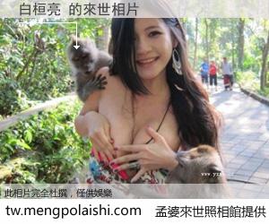 白桓亮 來世的未來相片