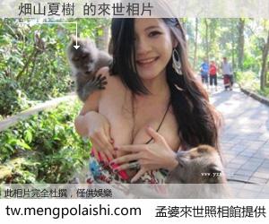 畑山夏樹 來世的未來相片