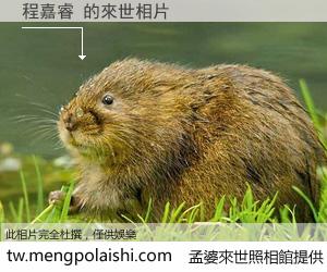 程嘉睿 來世的未來相片