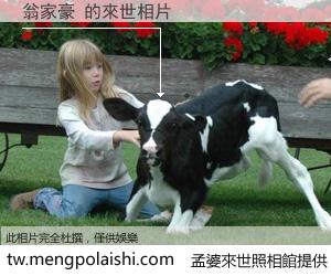 翁家豪 來世的未來相片