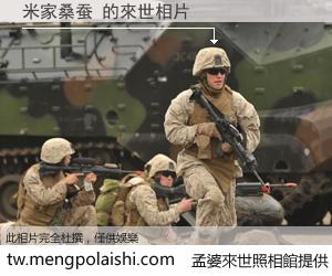 米家桑蚕 來世的未來相片