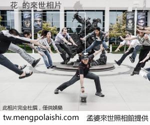 花 來世的未來相片