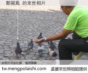 鄭麗鳳 來世的未來相片