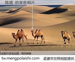 陈璐 來世的未來相片