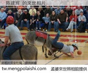 陈建辉 來世的未來相片