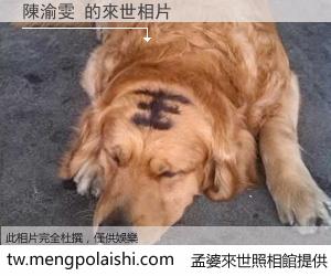 陳渝雯 來世的未來相片