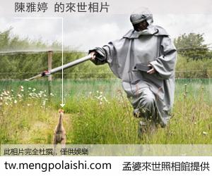 陳雅婷 來世的未來相片