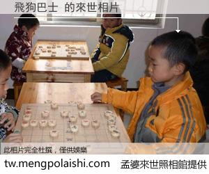 飛狗巴士 來世的未來相片