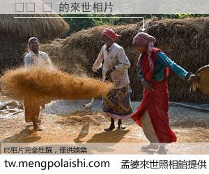 다낭 밤 來世的未來相片