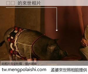 끼룽 來世的未來相片