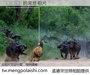 옥지원 來世的未來相片