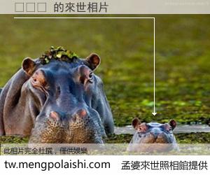 이승렬 來世的未來相片