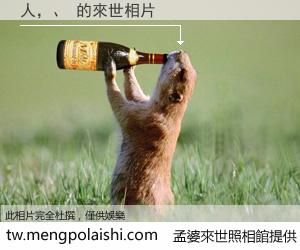 人，、 來世的未來相片