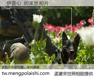 伊薔心 來世的未來相片