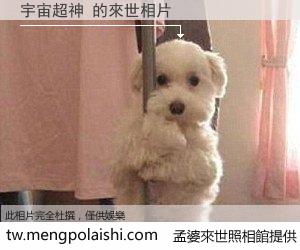 宇宙超神 來世的未來相片