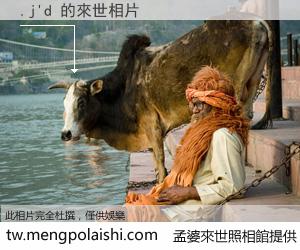 .j'd 來世的未來相片