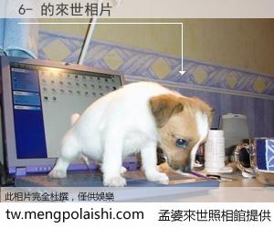 6- 來世的未來相片