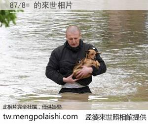 87/8= 來世的未來相片