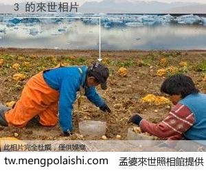 3 來世的未來相片