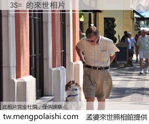 3S= 來世的未來相片