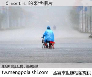 5 mortis 來世的未來相片