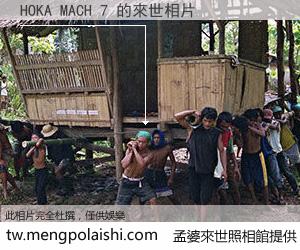 HOKA MACH 7 來世的未來相片