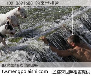 IDX 8691688 來世的未來相片