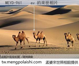MEYD-961    av 來世的未來相片