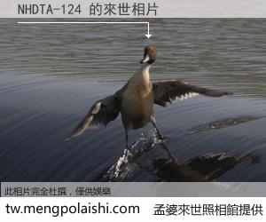 NHDTA-124 來世的未來相片