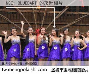 NSE: BLUEDART 來世的未來相片
