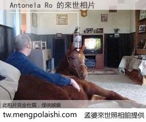 Antonela Ro 來世的未來相片