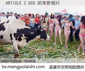 ARTICLE 2 GCS 來世的未來相片