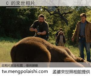 C 來世的未來相片