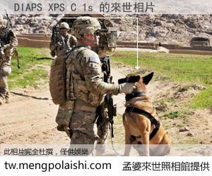 DIAPS XPS C 1s 來世的未來相片