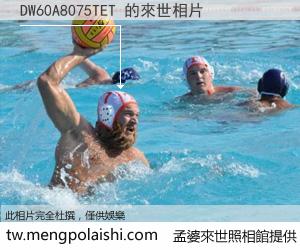 DW60A8075TET 來世的未來相片