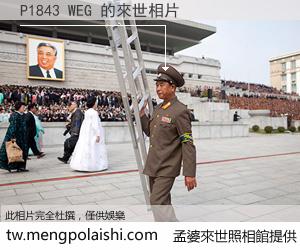 P1843 WEG 來世的未來相片