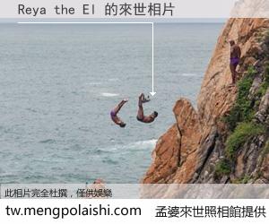 Reya the El 來世的未來相片