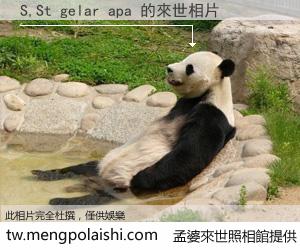 S,St gelar apa 來世的未來相片